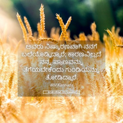 Picture 05 - ಕೀರ್ತನೆಗಳು 35:7 KANIRV - ಅವರು ನಿಷ್ಕಾರಣವಾಗಿ - Bible Verse Picture