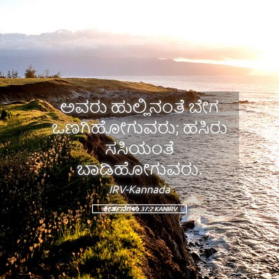 Picture 05 - ಕೀರ್ತನೆಗಳು 37:2 KANIRV - ಅವರು ಹುಲ್ಲಿನಂತೆ - Bible Verse Picture