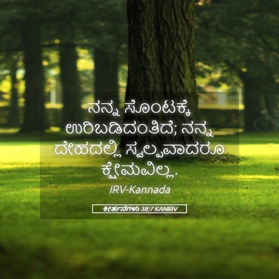 Picture 05 - ಕೀರ್ತನೆಗಳು 38:7 KANIRV - ನನ್ನ ಸೊಂಟಕ್ಕೆ - Bible Verse Picture