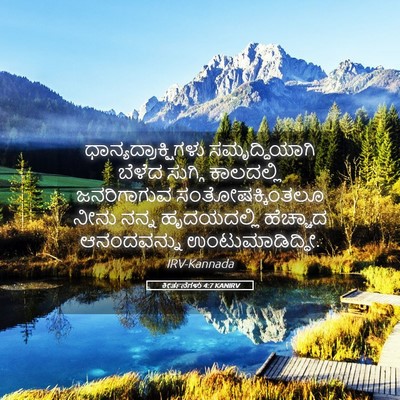 Picture 05 - ಕೀರ್ತನೆಗಳು 4:7 KANIRV - ಧಾನ್ಯದ್ರಾಕ್ಷಿಗಳು - Bible Verse Picture