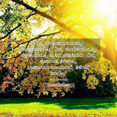 Picture 05 - ಕೀರ್ತನೆಗಳು 40:10 KANIRV - ನಿನ್ನ - Bible Verse Picture