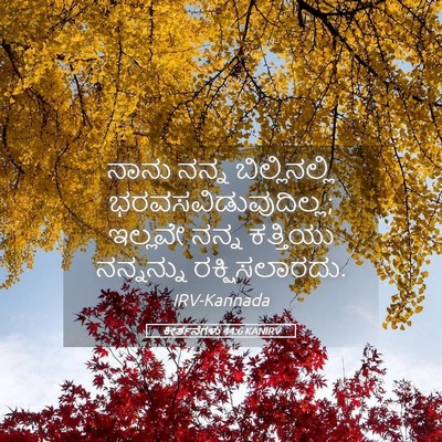 Picture 05 - ಕೀರ್ತನೆಗಳು 44:6 KANIRV - ನಾನು ನನ್ನ - Bible Verse Picture