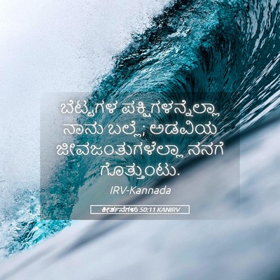 Picture 05 - ಕೀರ್ತನೆಗಳು 50:11 KANIRV - ಬೆಟ್ಟಗಳ - Bible Verse Picture