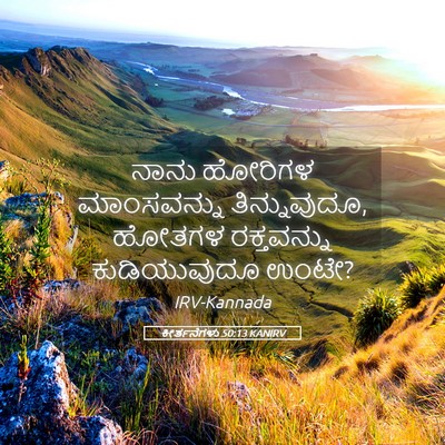 Picture 05 - ಕೀರ್ತನೆಗಳು 50:13 KANIRV - ನಾನು ಹೋರಿಗಳ - Bible Verse Picture