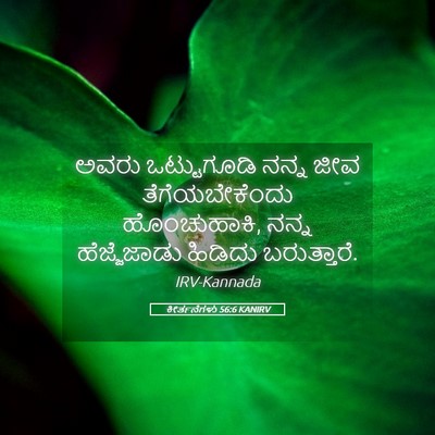 Picture 05 - ಕೀರ್ತನೆಗಳು 56:6 KANIRV - ಅವರು ಒಟ್ಟುಗೂಡಿ - Bible Verse Picture