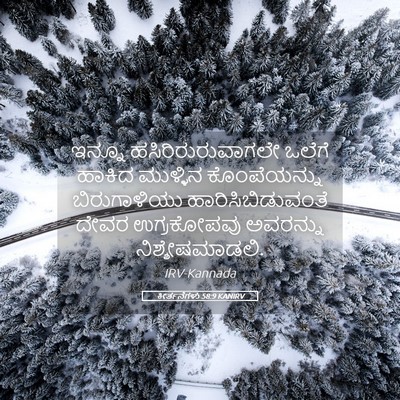 Picture 05 - ಕೀರ್ತನೆಗಳು 58:9 KANIRV - ಇನ್ನೂ - Bible Verse Picture