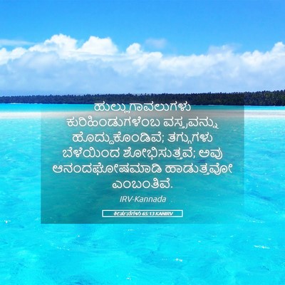 Picture 05 - ಕೀರ್ತನೆಗಳು 65:13 KANIRV - ಹುಲ್ಲುಗಾವಲುಗಳು - Bible Verse Picture