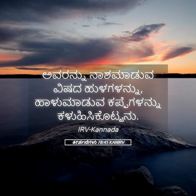 Picture 05 - ಕೀರ್ತನೆಗಳು 78:45 KANIRV - ಅವರನ್ನು ನಾಶಮಾಡುವ - Bible Verse Picture