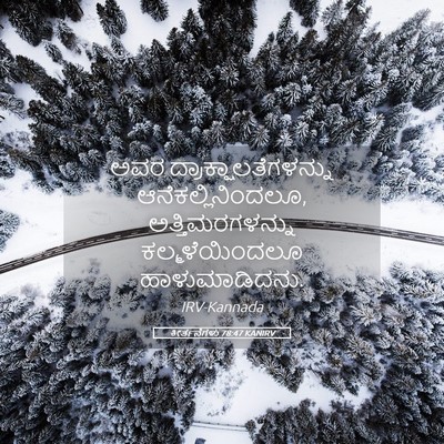 Picture 05 - ಕೀರ್ತನೆಗಳು 78:47 KANIRV - ಅವರ - Bible Verse Picture