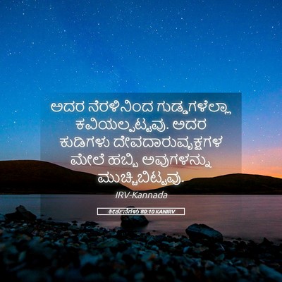 Picture 05 - ಕೀರ್ತನೆಗಳು 80:10 KANIRV - ಅದರ ನೆರಳಿನಿಂದ - Bible Verse Picture