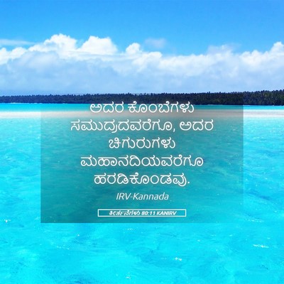 Picture 05 - ಕೀರ್ತನೆಗಳು 80:11 KANIRV - ಅದರ ಕೊಂಬೆಗಳು - Bible Verse Picture