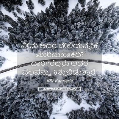 Picture 05 - ಕೀರ್ತನೆಗಳು 80:12 KANIRV - ನೀನು ಅದರ - Bible Verse Picture