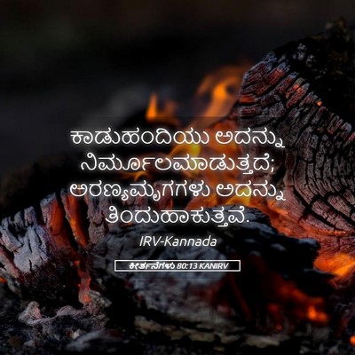 Picture 05 - ಕೀರ್ತನೆಗಳು 80:13 KANIRV - ಕಾಡುಹಂದಿಯು ಅದನ್ನು - Bible Verse Picture