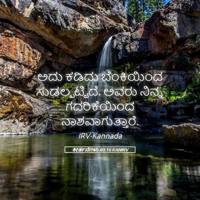 Picture 05 - ಕೀರ್ತನೆಗಳು 80:16 KANIRV - ಅದು ಕಡಿದು - Bible Verse Picture