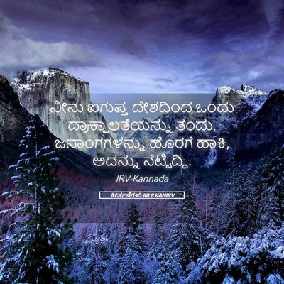 Picture 05 - ಕೀರ್ತನೆಗಳು 80:8 KANIRV - ನೀನು ಐಗುಪ್ತ - Bible Verse Picture