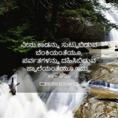 Picture 05 - ಕೀರ್ತನೆಗಳು 83:14 KANIRV - ನೀನು ಕಾಡನ್ನು - Bible Verse Picture