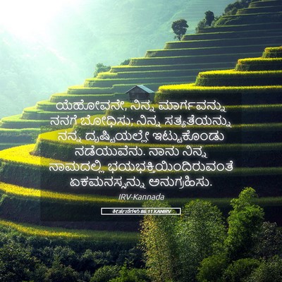 Picture 05 - ಕೀರ್ತನೆಗಳು 86:11 KANIRV - ಯೆಹೋವನೇ, ನಿನ್ನ - Bible Verse Picture