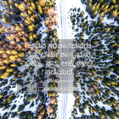 Picture 05 - ಕೀರ್ತನೆಗಳು 89:30 KANIRV - ಅವನ ಸಂತಾನದವರು - Bible Verse Picture