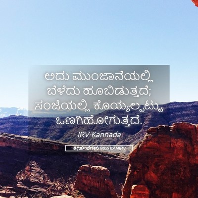 Picture 05 - ಕೀರ್ತನೆಗಳು 90:6 KANIRV - ಅದು ಮುಂಜಾನೆಯಲ್ಲಿ - Bible Verse Picture