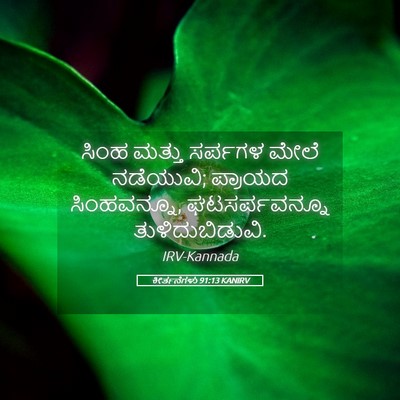 Picture 05 - ಕೀರ್ತನೆಗಳು 91:13 KANIRV - ಸಿಂಹ ಮತ್ತು ಸರ್ಪಗಳ - Bible Verse Picture