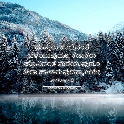Picture 05 - ಕೀರ್ತನೆಗಳು 92:7 KANIRV - ದುಷ್ಟರು - Bible Verse Picture