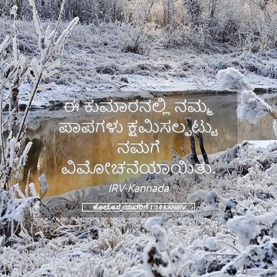 Picture 05 - ಕೊಲೊಸ್ಸೆಯವರಿಗೆ 1:14 KANIRV - ಈ ಕುಮಾರನಲ್ಲಿ ನಮ್ಮ - Bible Verse Picture