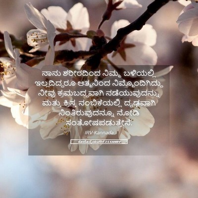 Picture 05 - ಕೊಲೊಸ್ಸೆಯವರಿಗೆ 2:5 KANIRV - ನಾನು ಶರೀರದಿಂದ - Bible Verse Picture
