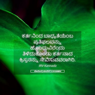 Picture 05 - ಕೊಲೊಸ್ಸೆಯವರಿಗೆ 3:24 KANIRV - ಕರ್ತನಿಂದ - Bible Verse Picture