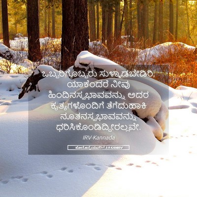 Picture 05 - ಕೊಲೊಸ್ಸೆಯವರಿಗೆ 3:9 KANIRV - ಒಬ್ಬರಿಗೊಬ್ಬರು - Bible Verse Picture