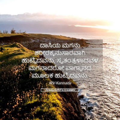 Picture 05 - ಗಲಾತ್ಯದವರಿಗೆ 4:23 KANIRV - ದಾಸಿಯ ಮಗನು - Bible Verse Picture