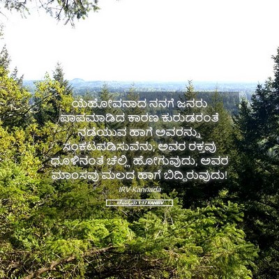 Picture 05 - ಚೆಫನ್ಯನು 1:17 KANIRV - ಯೆಹೋವನಾದ ನನಗೆ - Bible Verse Picture