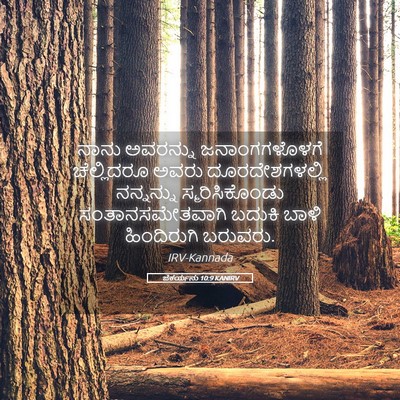 Picture 05 - ಜೆಕರ್ಯನು 10:9 KANIRV - ನಾನು ಅವರನ್ನು - Bible Verse Picture