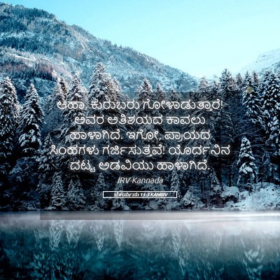 Picture 05 - ಜೆಕರ್ಯನು 11:3 KANIRV - ಆಹಾ, ಕುರುಬರು - Bible Verse Picture