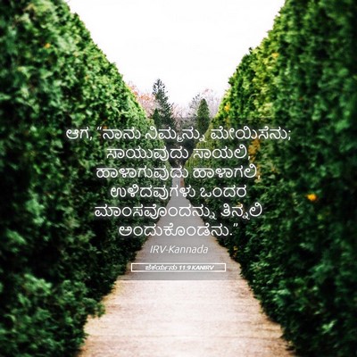 Picture 05 - ಜೆಕರ್ಯನು 11:9 KANIRV - ಆಗ, “ನಾನು - Bible Verse Picture