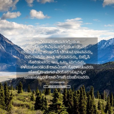 Picture 05 - ಜೆಕರ್ಯನು 12:10 KANIRV - ದಾವೀದ - Bible Verse Picture