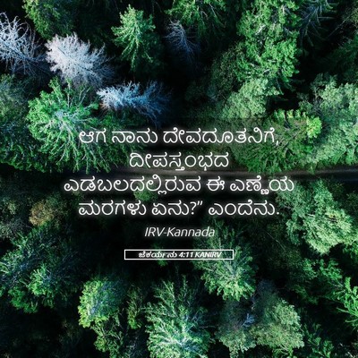 Picture 05 - ಜೆಕರ್ಯನು 4:11 KANIRV - ಆಗ ನಾನು - Bible Verse Picture