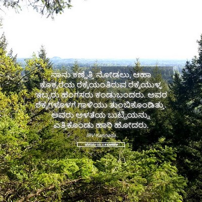 Picture 05 - ಜೆಕರ್ಯನು 5:9 KANIRV - ನಾನು ಕಣ್ಣೆತ್ತಿ - Bible Verse Picture