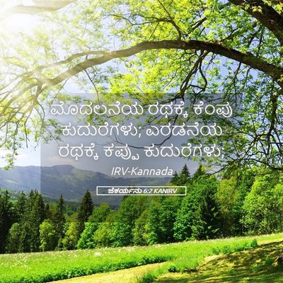 Picture 05 - ಜೆಕರ್ಯನು 6:2 KANIRV - ಮೊದಲನೆಯ ರಥಕ್ಕೆ - Bible Verse Picture