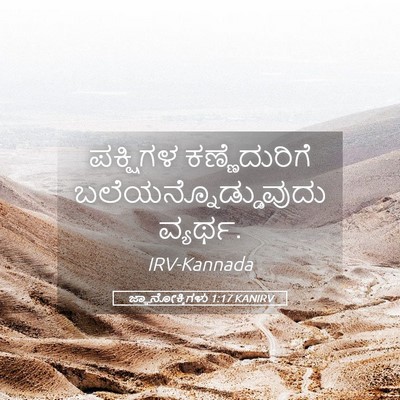Picture 05 - ಜ್ಞಾನೋಕ್ತಿಗಳು 1:17 KANIRV - ಪಕ್ಷಿಗಳ - Bible Verse Picture