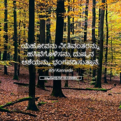 Picture 05 - ಜ್ಞಾನೋಕ್ತಿಗಳು 10:3 KANIRV - ಯೆಹೋವನು - Bible Verse Picture
