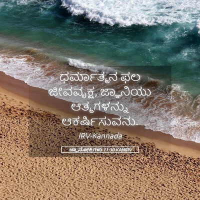 Picture 05 - ಜ್ಞಾನೋಕ್ತಿಗಳು 11:30 KANIRV - ಧರ್ಮಾತ್ಮನ ಫಲ - Bible Verse Picture