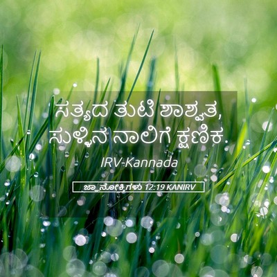Picture 05 - ಜ್ಞಾನೋಕ್ತಿಗಳು 12:19 KANIRV - ಸತ್ಯದ ತುಟಿ ಶಾಶ್ವತ, - Bible Verse Picture