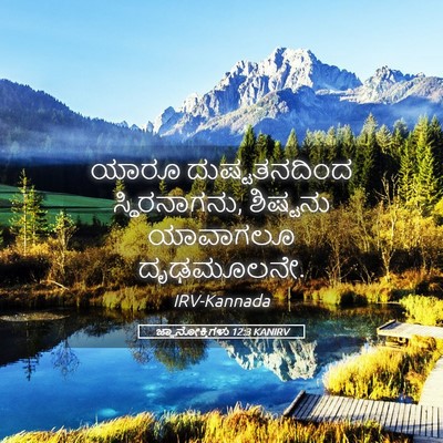 Picture 05 - ಜ್ಞಾನೋಕ್ತಿಗಳು 12:3 KANIRV - ಯಾರೂ ದುಷ್ಟತನದಿಂದ - Bible Verse Picture
