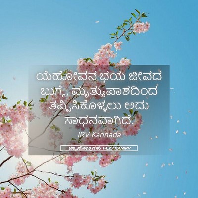 Picture 05 - ಜ್ಞಾನೋಕ್ತಿಗಳು 14:27 KANIRV - ಯೆಹೋವನ ಭಯ ಜೀವದ - Bible Verse Picture