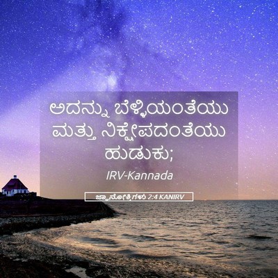 Picture 05 - ಜ್ಞಾನೋಕ್ತಿಗಳು 2:4 KANIRV - ಅದನ್ನು - Bible Verse Picture