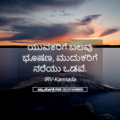 Picture 05 - ಜ್ಞಾನೋಕ್ತಿಗಳು 20:29 KANIRV - ಯುವಕರಿಗೆ ಬಲವು - Bible Verse Picture