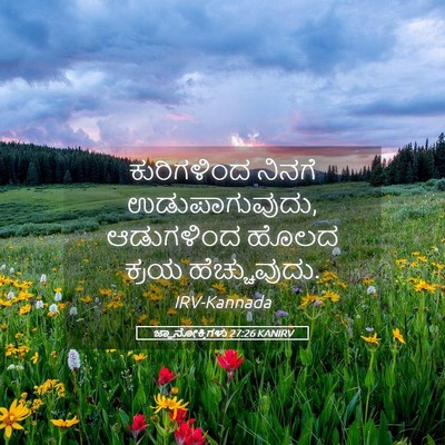 Picture 05 - ಜ್ಞಾನೋಕ್ತಿಗಳು 27:26 KANIRV - ಕುರಿಗಳಿಂದ ನಿನಗೆ - Bible Verse Picture