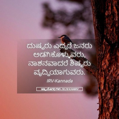Picture 05 - ಜ್ಞಾನೋಕ್ತಿಗಳು 28:28 KANIRV - ದುಷ್ಟರು ಎದ್ದರೆ - Bible Verse Picture