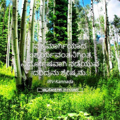 Picture 05 - ಜ್ಞಾನೋಕ್ತಿಗಳು 28:6 KANIRV - ವಕ್ರಮಾರ್ಗಿಯಾದ - Bible Verse Picture