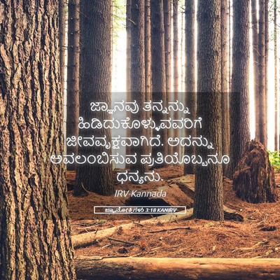 Picture 05 - ಜ್ಞಾನೋಕ್ತಿಗಳು 3:18 KANIRV - ಜ್ಞಾನವು ತನ್ನನ್ನು - Bible Verse Picture